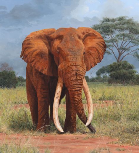 Wildlife paintings